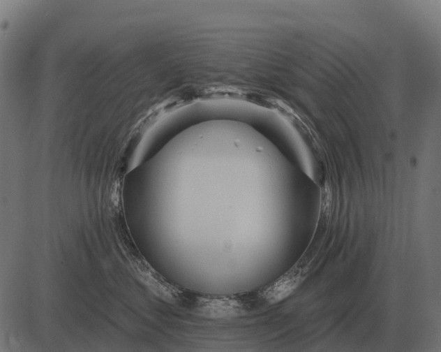X0000084580621200703091838