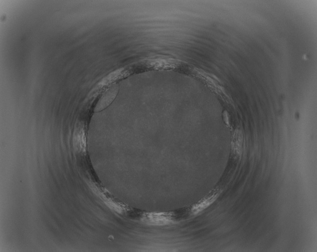 X0000084580622200703091838