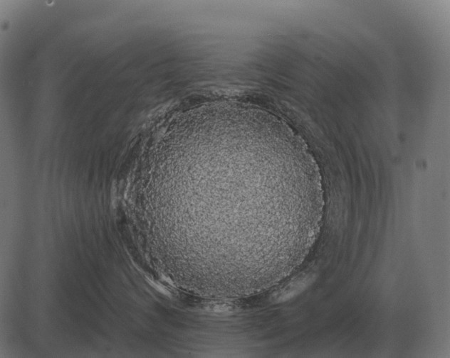 X0000084580624200703091838