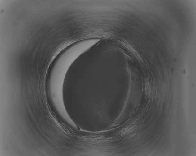 X0000084580626200703091837