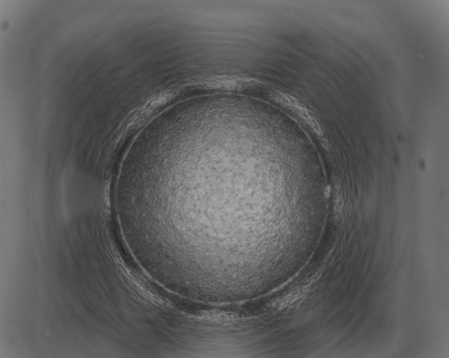 X0000084580633200703091838