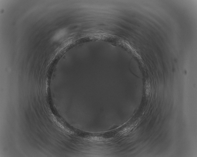 X0000084580637200703091838