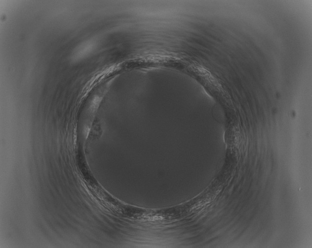 X0000084580640200703091838