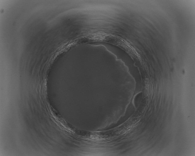 X0000084580641200703091838