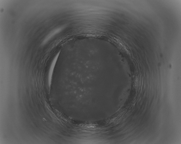 X0000084580643200703091838