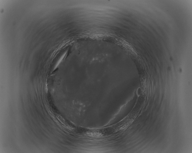 X0000084580644200703091838