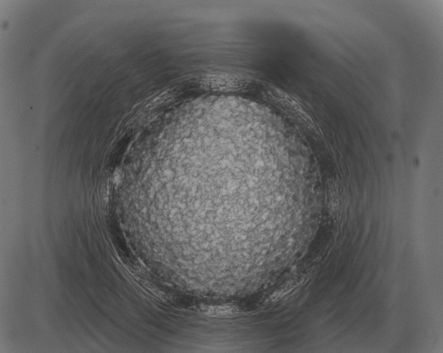 X0000084580645200703091838