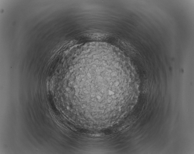 X0000084580646200703091838