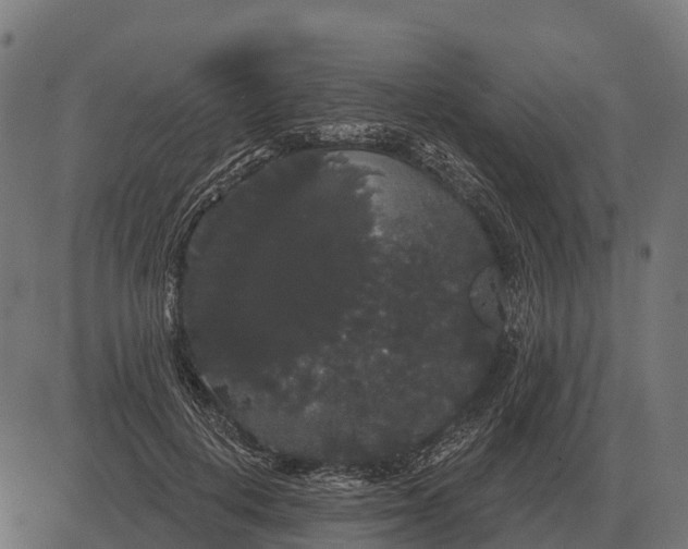 X0000084580648200703091838