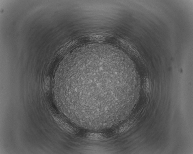 X0000084580649200703091838