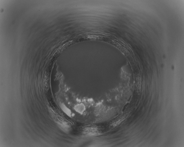 X0000084580653200703091838
