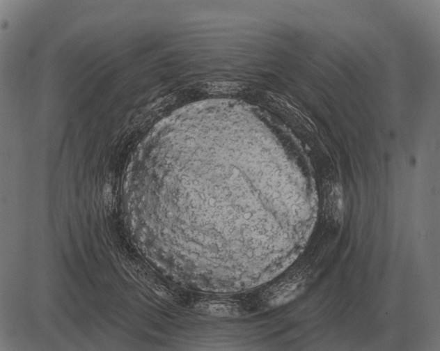 X0000084580655200703091838