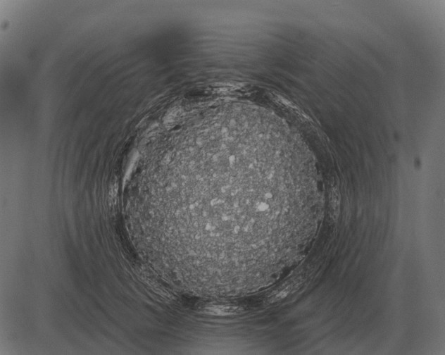 X0000084580657200703091838
