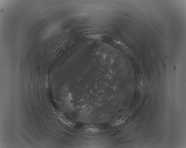 X0000084580658200703091838