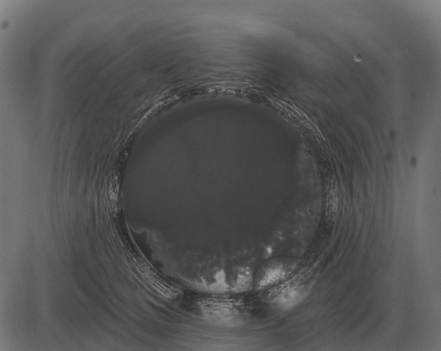 X0000084580661200703091838