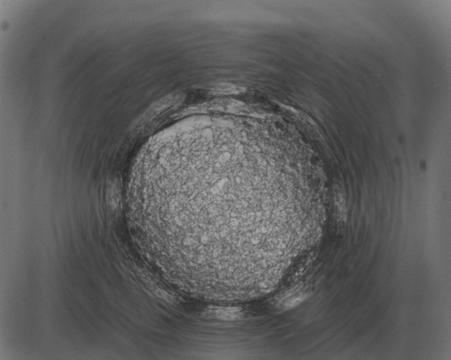 X0000084580665200703091838