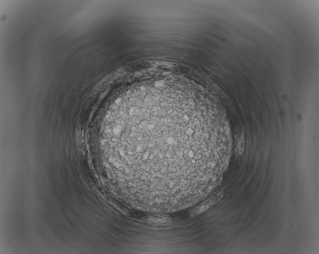 X0000084580666200703091838