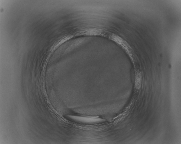 X0000084580673200703091837