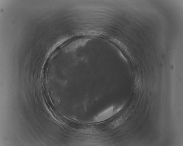 X0000084580674200703091837