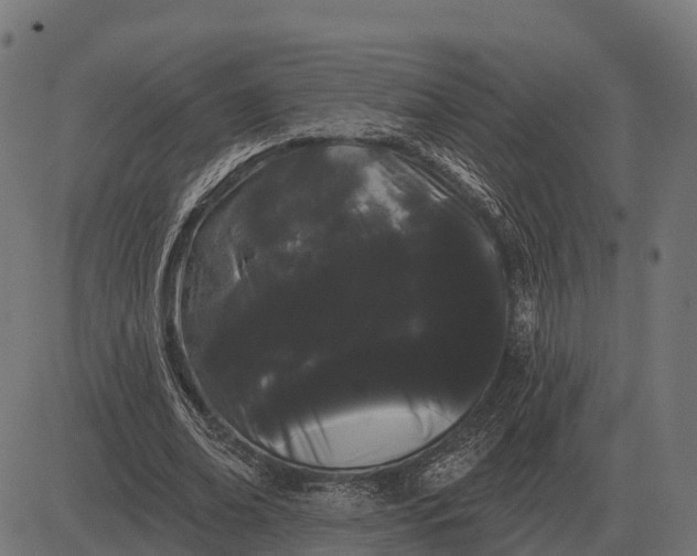 X0000084580678200703091837