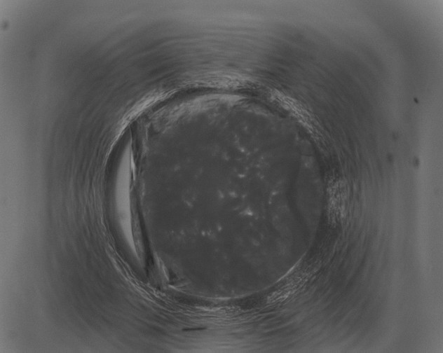 X0000084580679200703091837
