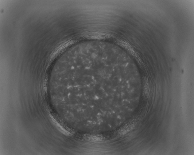 X0000084580683200703091837