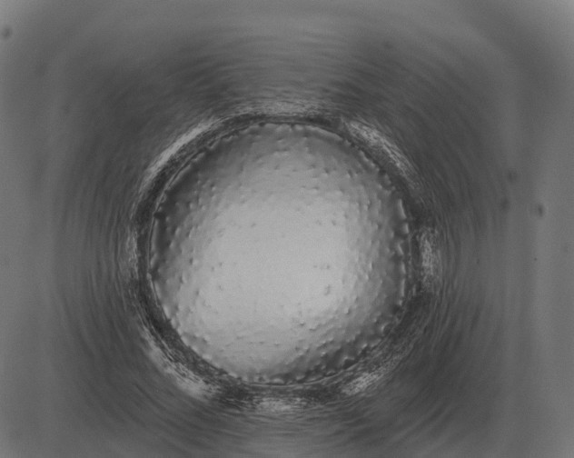X0000084580684200703091837