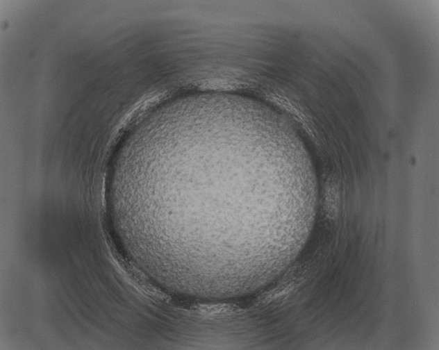 X0000084580686200703091837