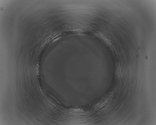 X0000084580689200703091837