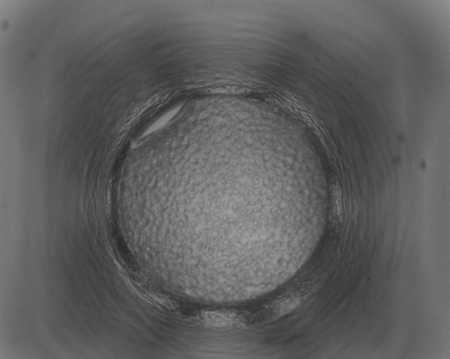 X0000084580690200703091837