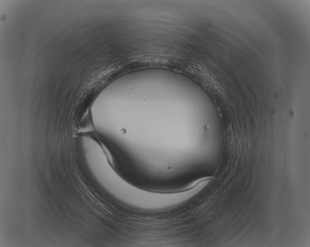 X0000084580692200703091837