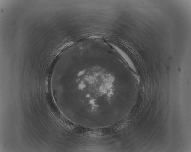 X0000084580696200703091837