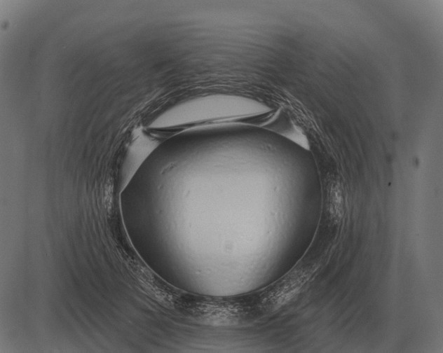 X0000084580697200703091837