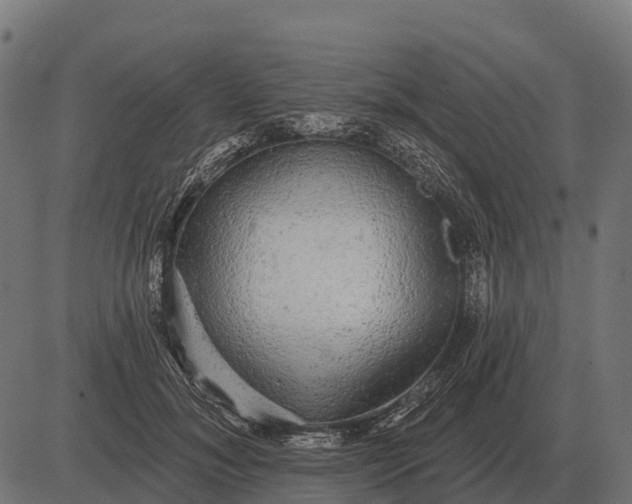 X0000084580700200703091837