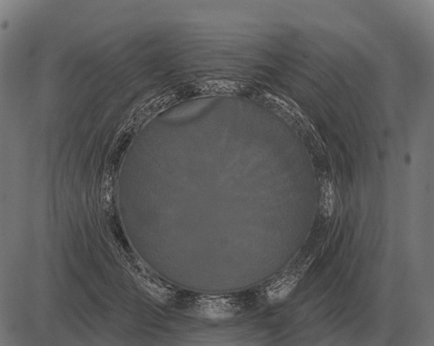 X0000084580701200703091837