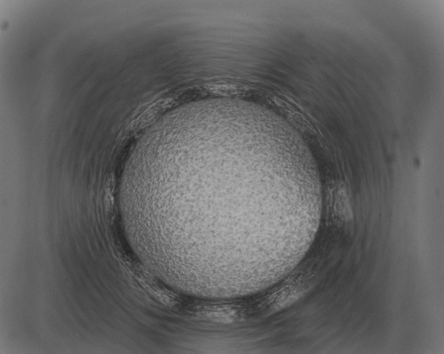 X0000084580702200703091837