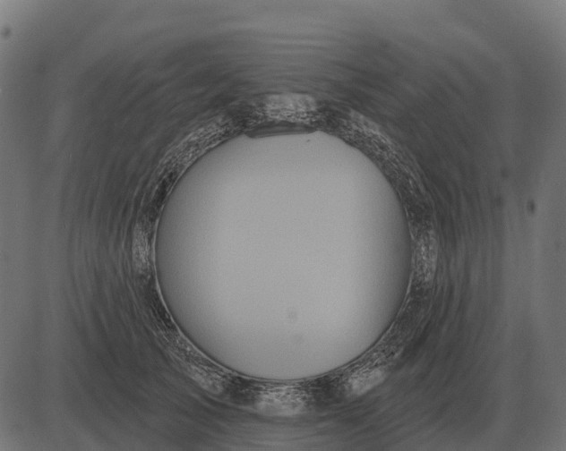 X0000084580705200703091837