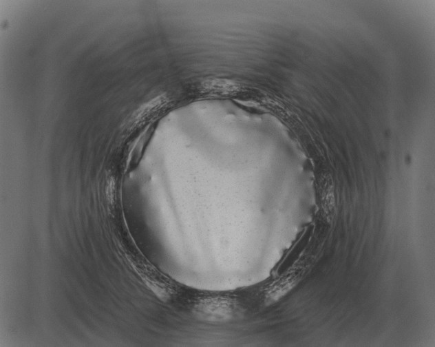 X0000084580708200703091837