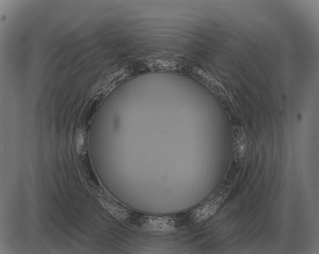 X0000084580709200703091837