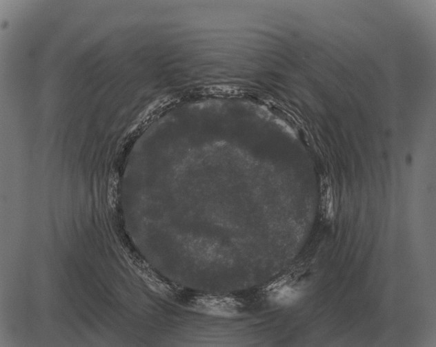 X0000084580712200703091837