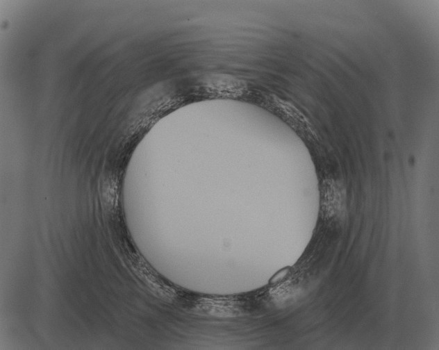 X0000084580713200703091837