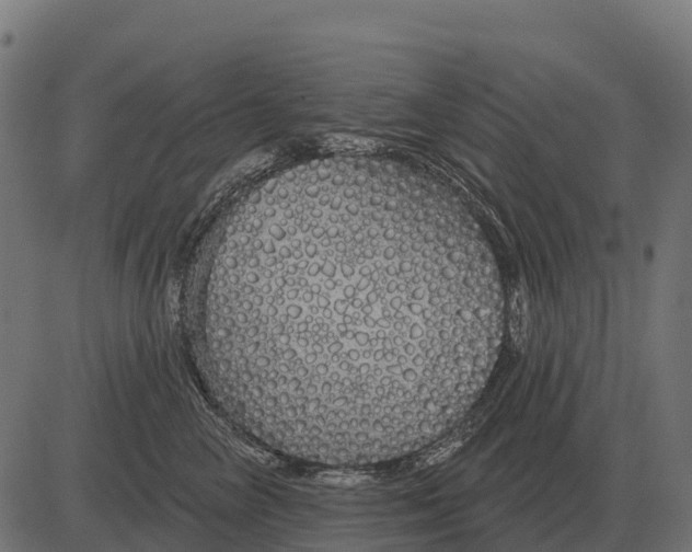 X0000084580714200703091837