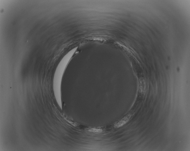 X0000084580718200703091837