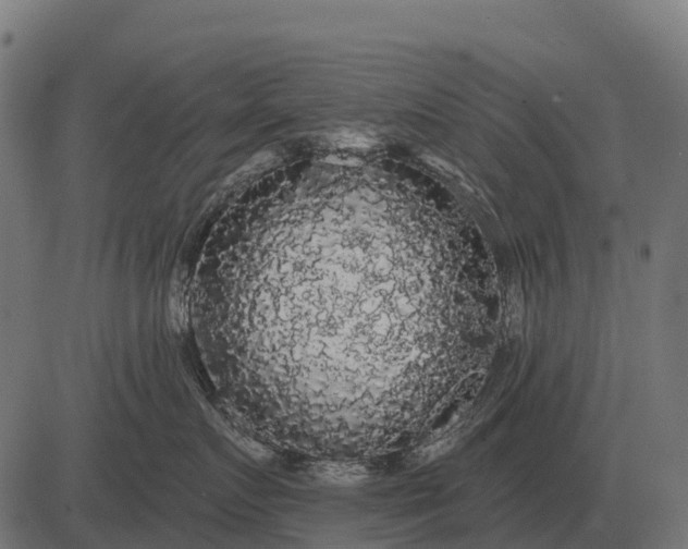 X0000084580719200703091837