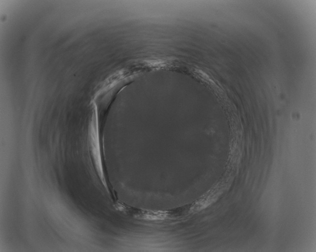 X0000084580720200703091837