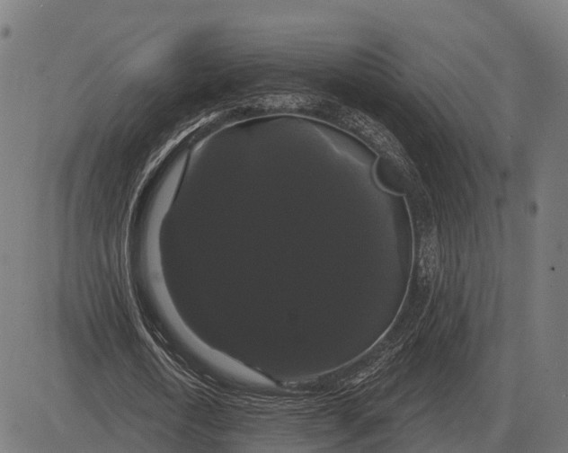 X0000084580722200703091836