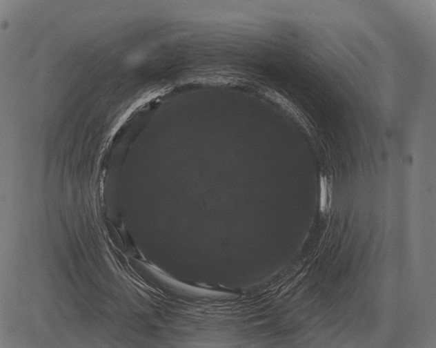 X0000084580723200703091836