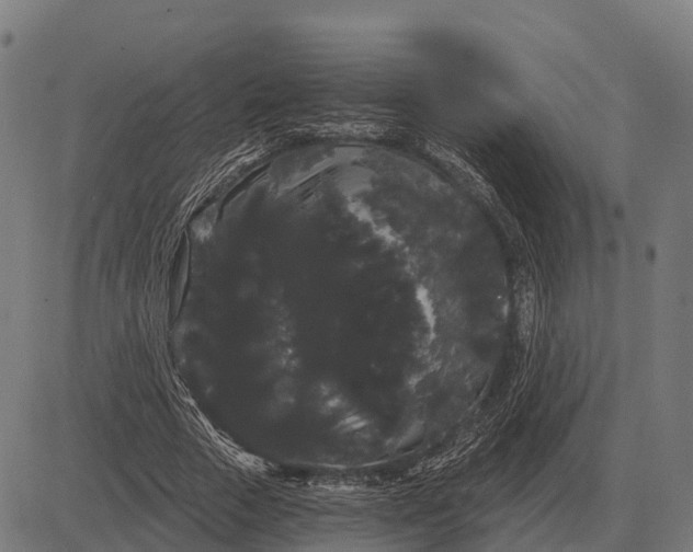 X0000084580729200703091836