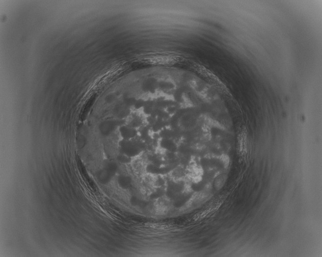 X0000084580733200703091836