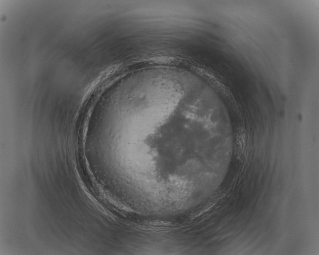 X0000084580734200703091836